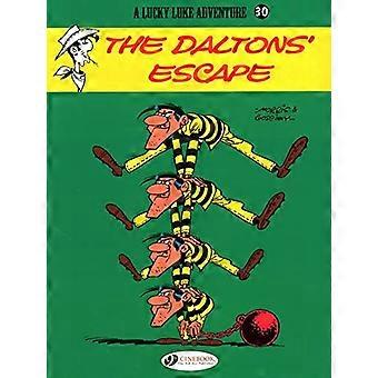 Lucky Luke Vol.30 : Évasion de la Dalton