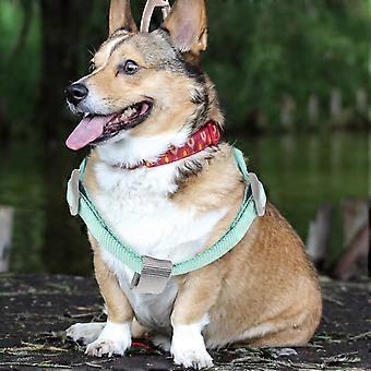 Dog Harness and Leash Adjustable for Puppy 2Sets Lightweight Green Polyester