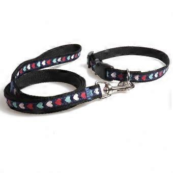 Dog Collar and Leash Set, Quick Release Buckle Two-in-One Collar with Integrated Leash for Small, Medium, and Large Dogs