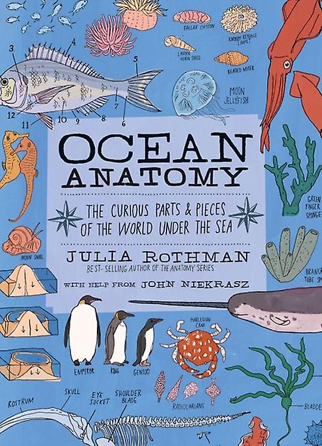 Ocean Anatomy by Julia Rothman Paperback Book