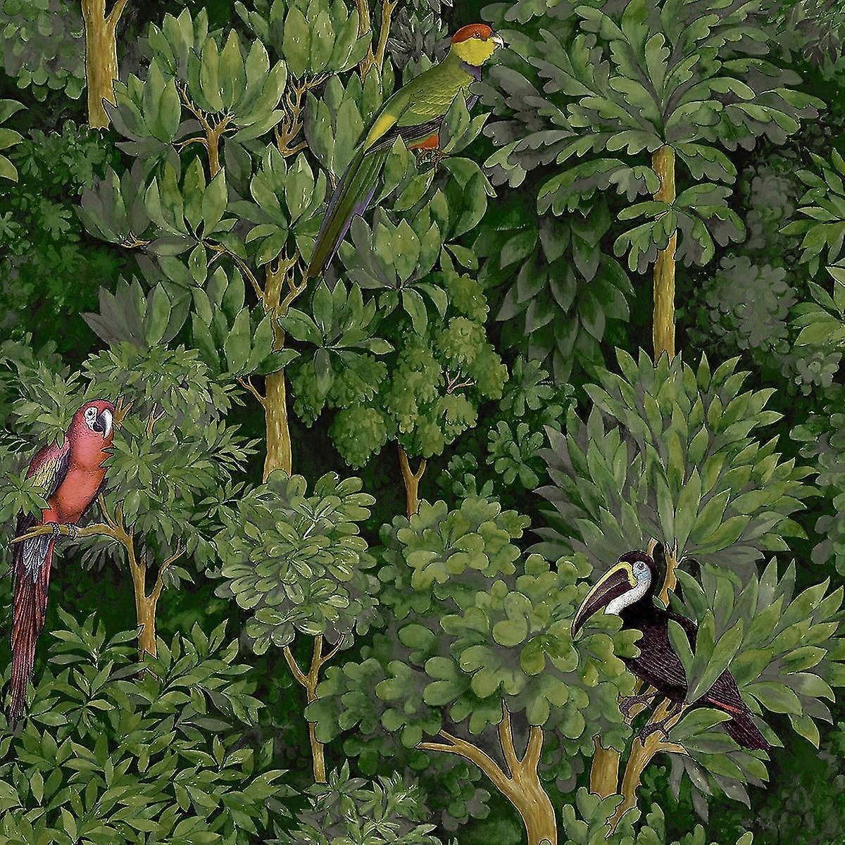 Amazonia Botanist Wallpaper Holden