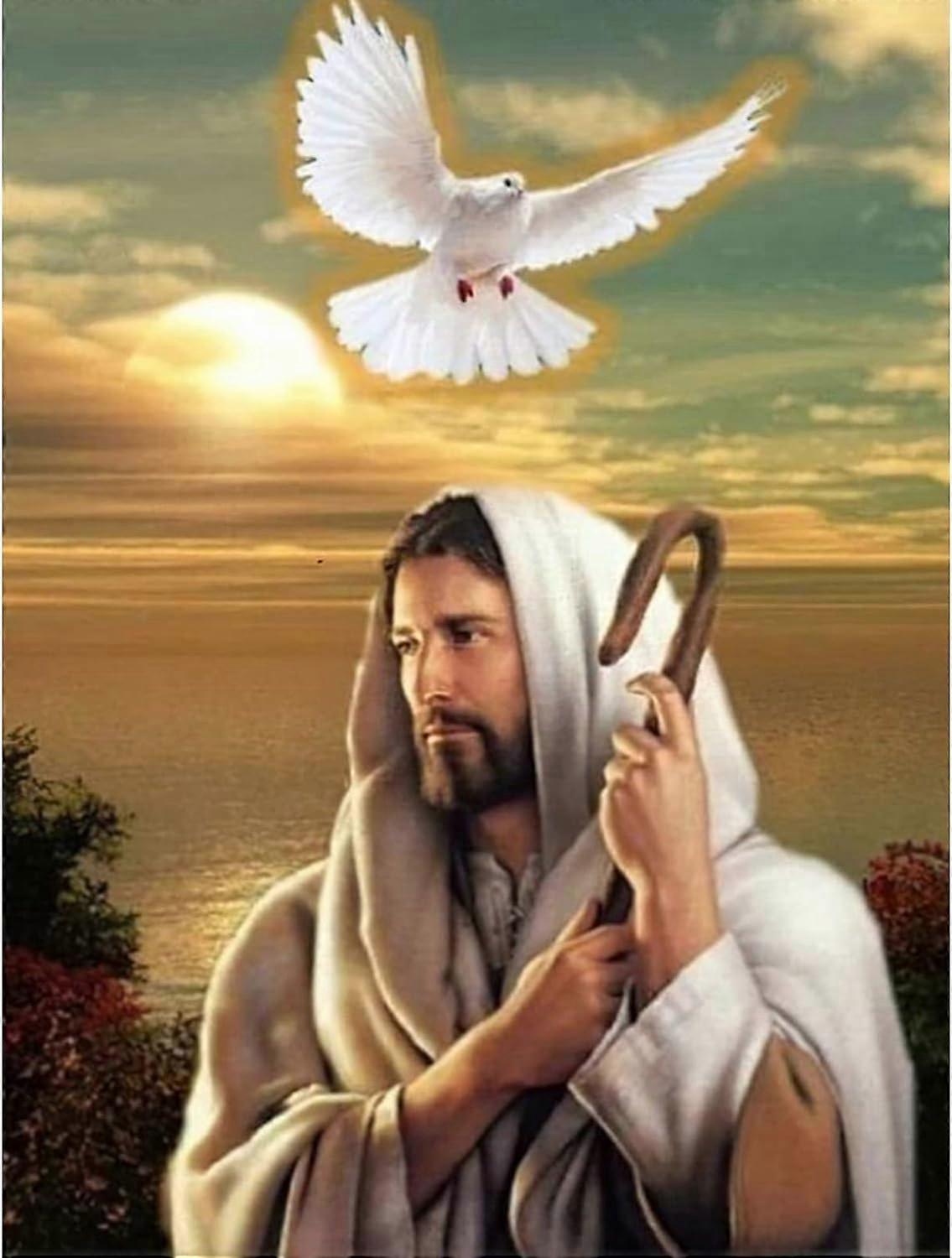 Savior Jesus 5D Diamond Painting 30X40CM (Estilo 5)