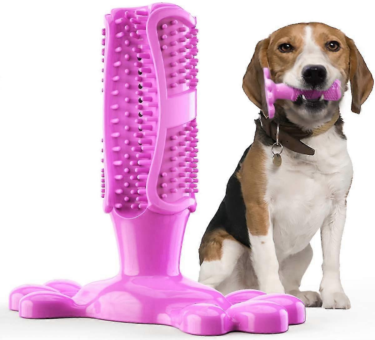 Dog Toothbrush Made Of Natural Rubber, Chew Toy For Teeth Cleaning, Dental Care, Puppy Training