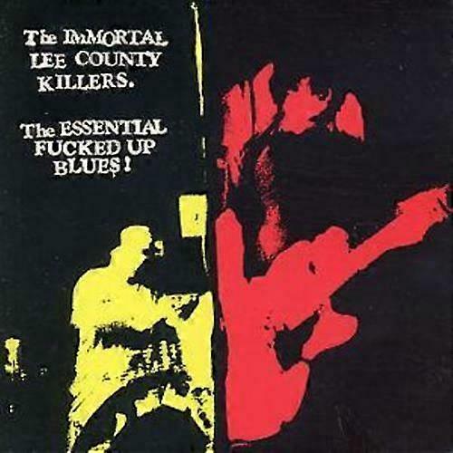 Temel Fd Up Blues CD'si (2001)