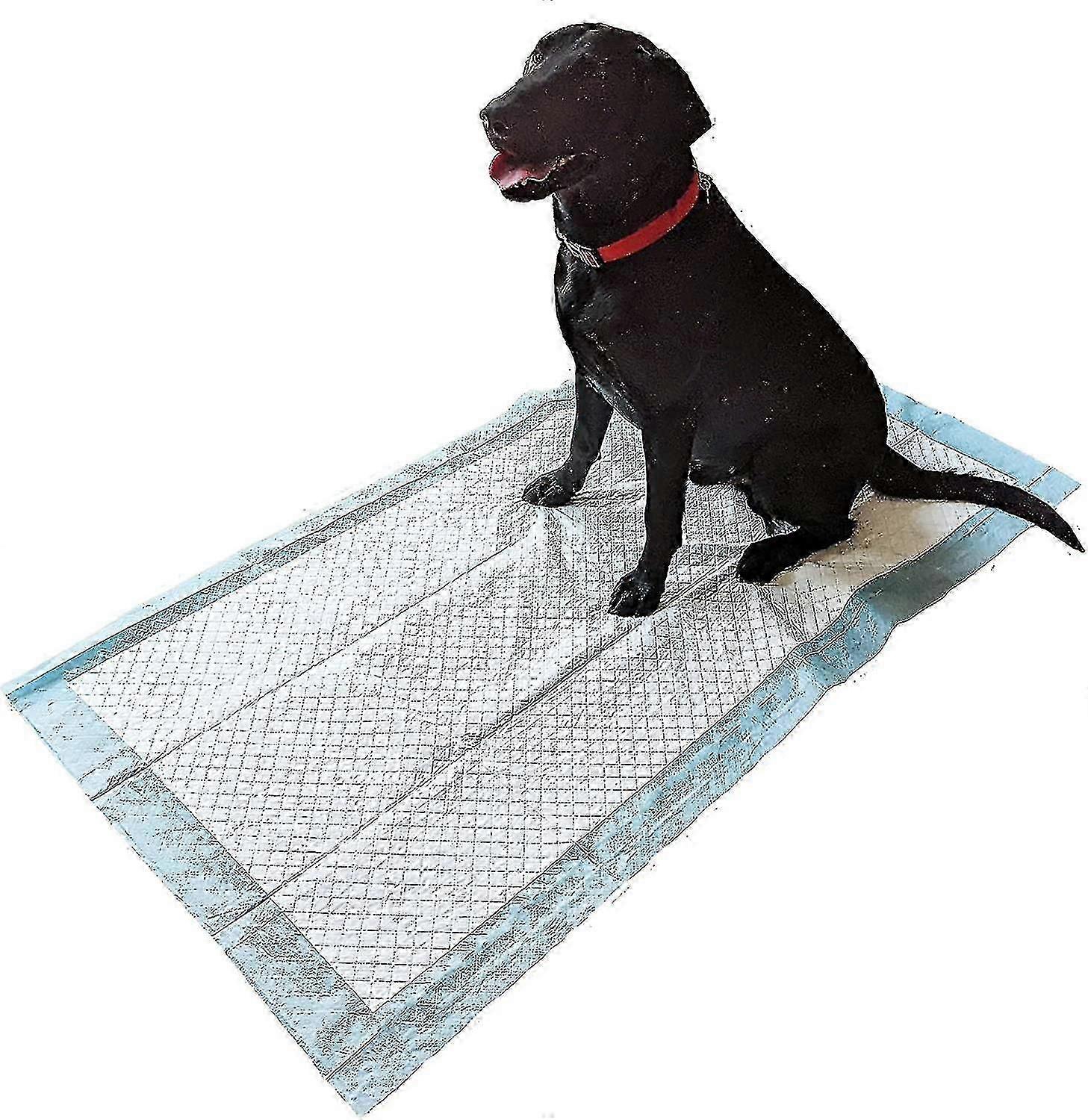 20 Bardzo dużych szkoleń w toalecie dla psów 1500 x 800 mm 2300 ml Wee Pads Mata chłonna dla szczeniąt