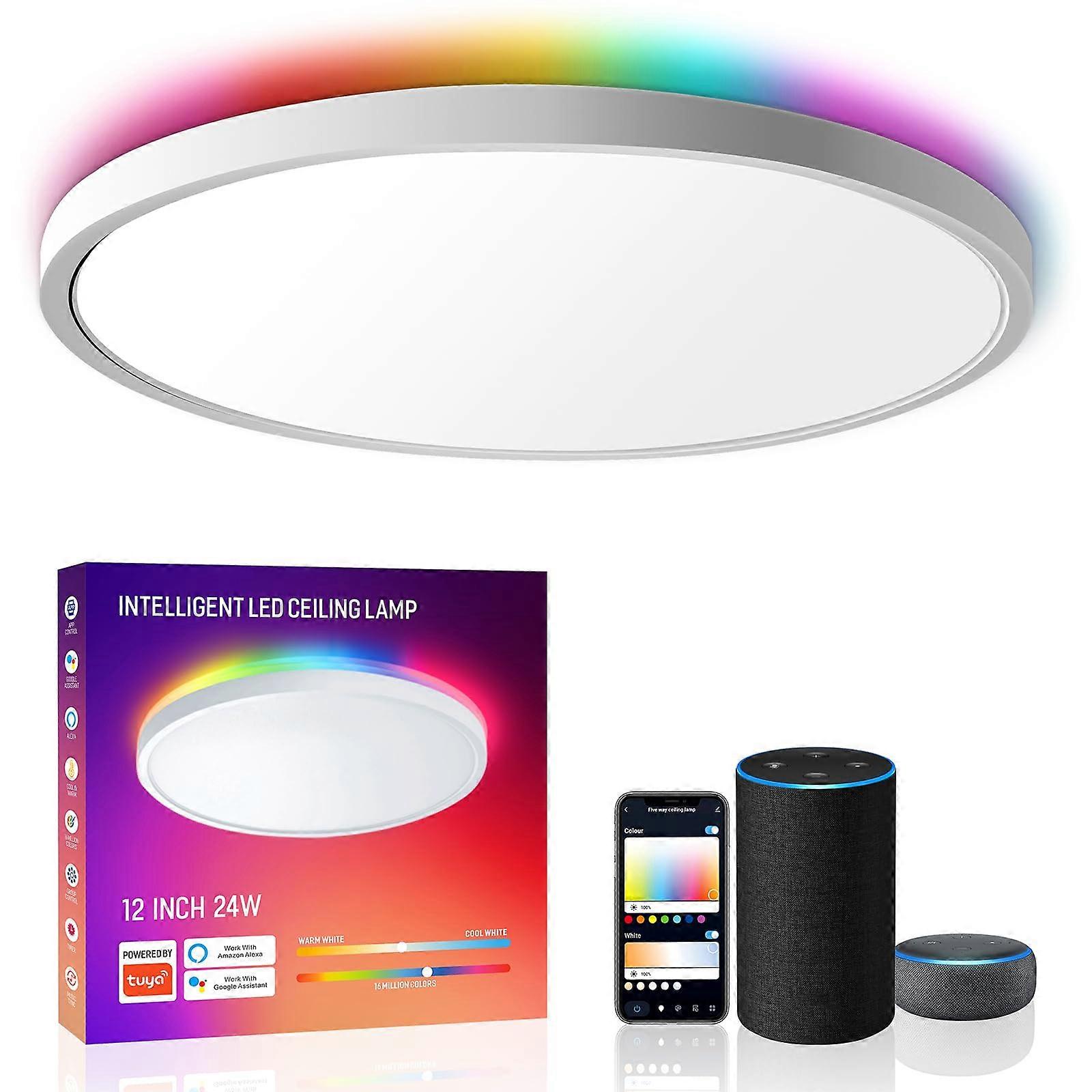 Smart Led Ceiling Light Flush Mount, 12 Inch 24W Ceiling Light Fixture Dimmable 2700K-6500K