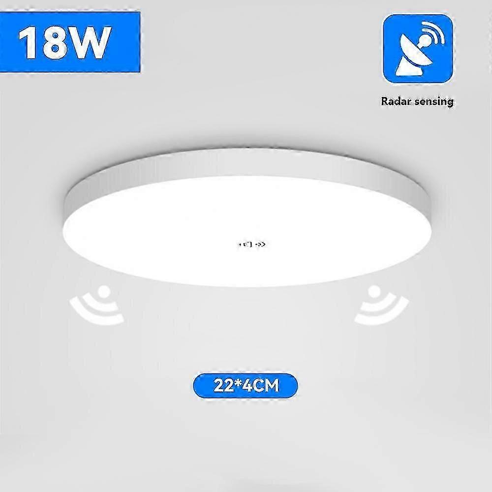 Motion Sensor Ceiling Light LED for Indoor Aisle, Smart Home Compatible