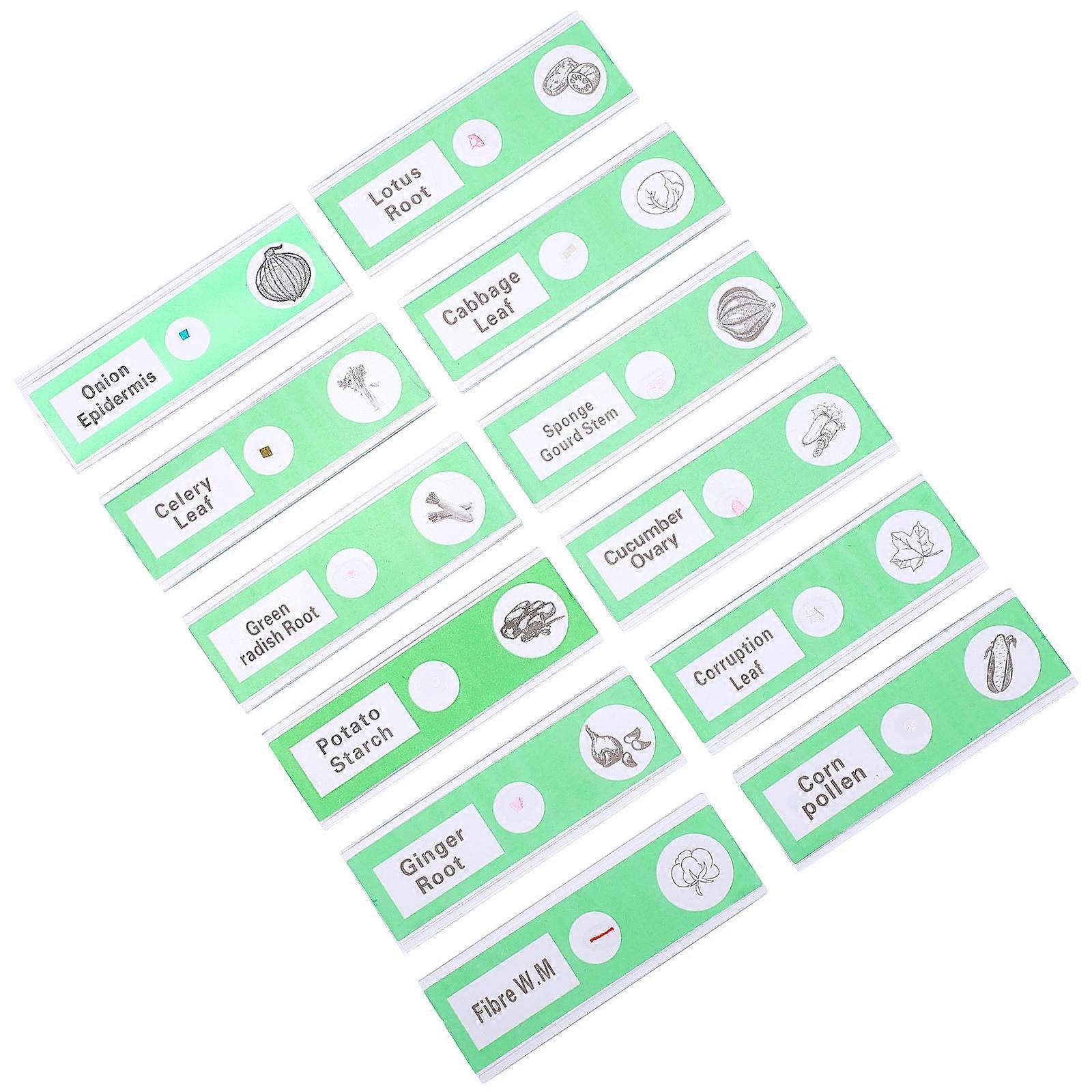 Sample Microscope Slides Prepared Slides Educational Tool Science Experiment Green 12Pcs