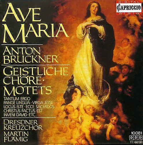 Martin Fl mig - Sacred Motets  [COMPACT DISCS] USA import