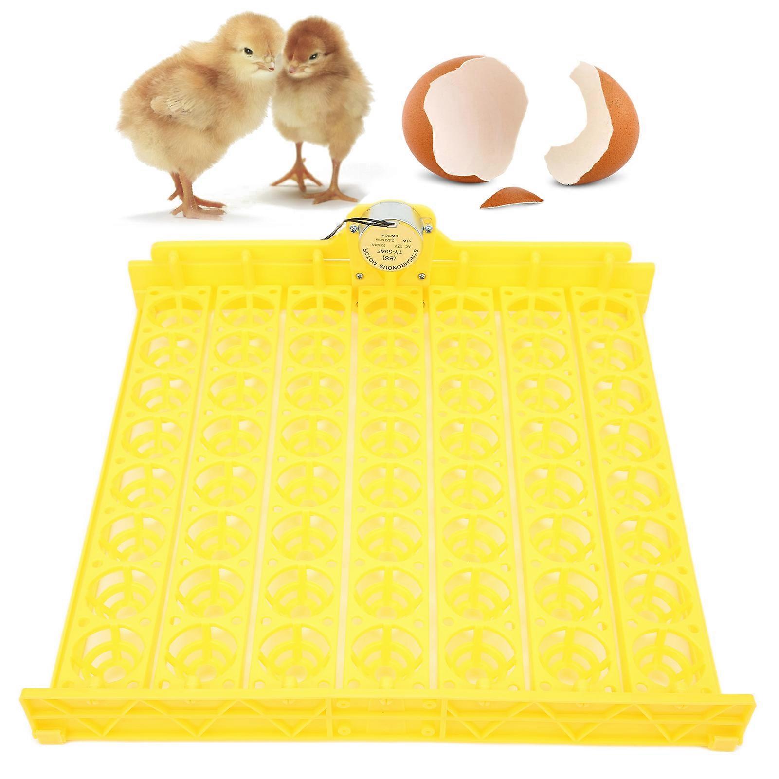 Automatic Egg Turner 56 Eggs ABS for Incubator 12V Durable