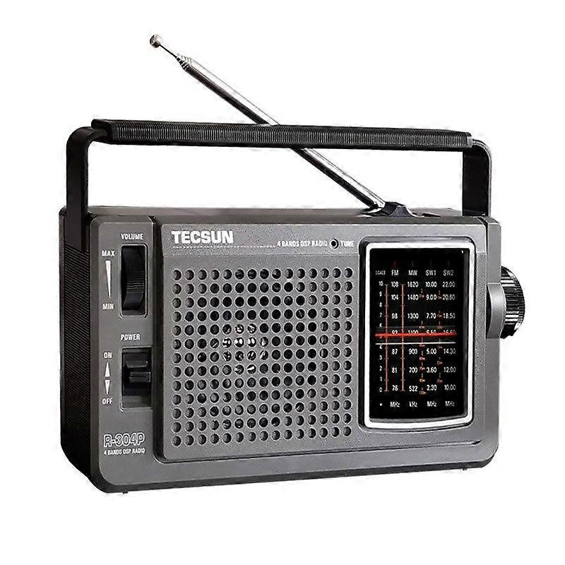 Radio DSP Portable Radio Receiver FM Radio High Sensitivity Radio
