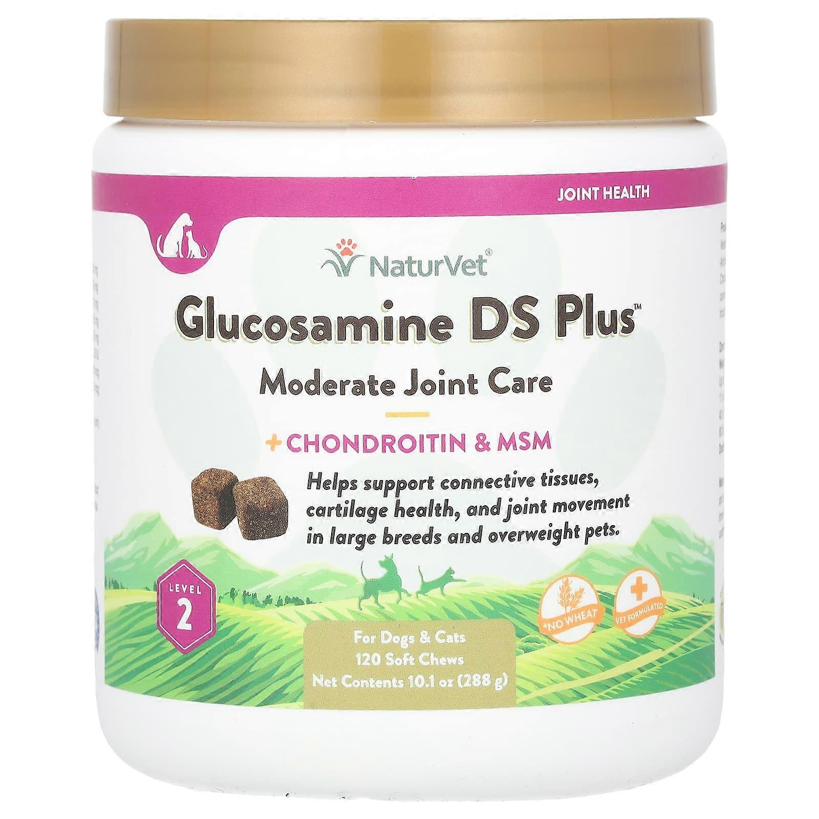 Glucosamine DS Plus, + Chondroitin & MSM, For Dogs & Cats, Level 2, 120 Soft Chews, 10.1 oz (288 g)