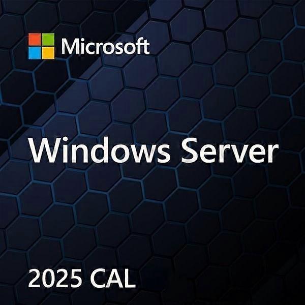 Licence d'accès client Microsoft Windows Server Cal 2025 (cal) 1 licence(s)