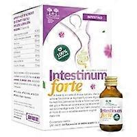 Strong intestine 18 ampoules