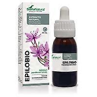 Willowherb prostate 50 ml