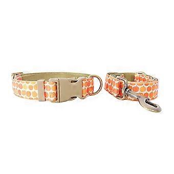Dog Lovely Pumpkin Collar Leash Comfortable Dog Collar Leash for Medium Dogs Leash Harvest Theme Leash L