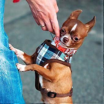 Pet Dog Collar Christmas Santa Bell Pet Collar for Festive Use