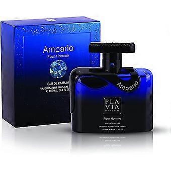 Ampario Pour Homme EDP 100ml