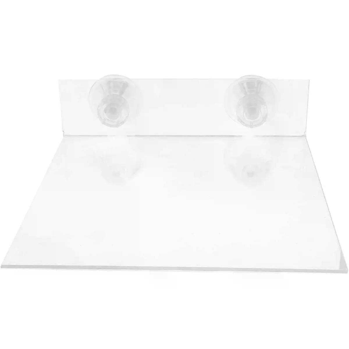 Play Stand Parrot Shower Perch Acrylic Suction Cup Platform
