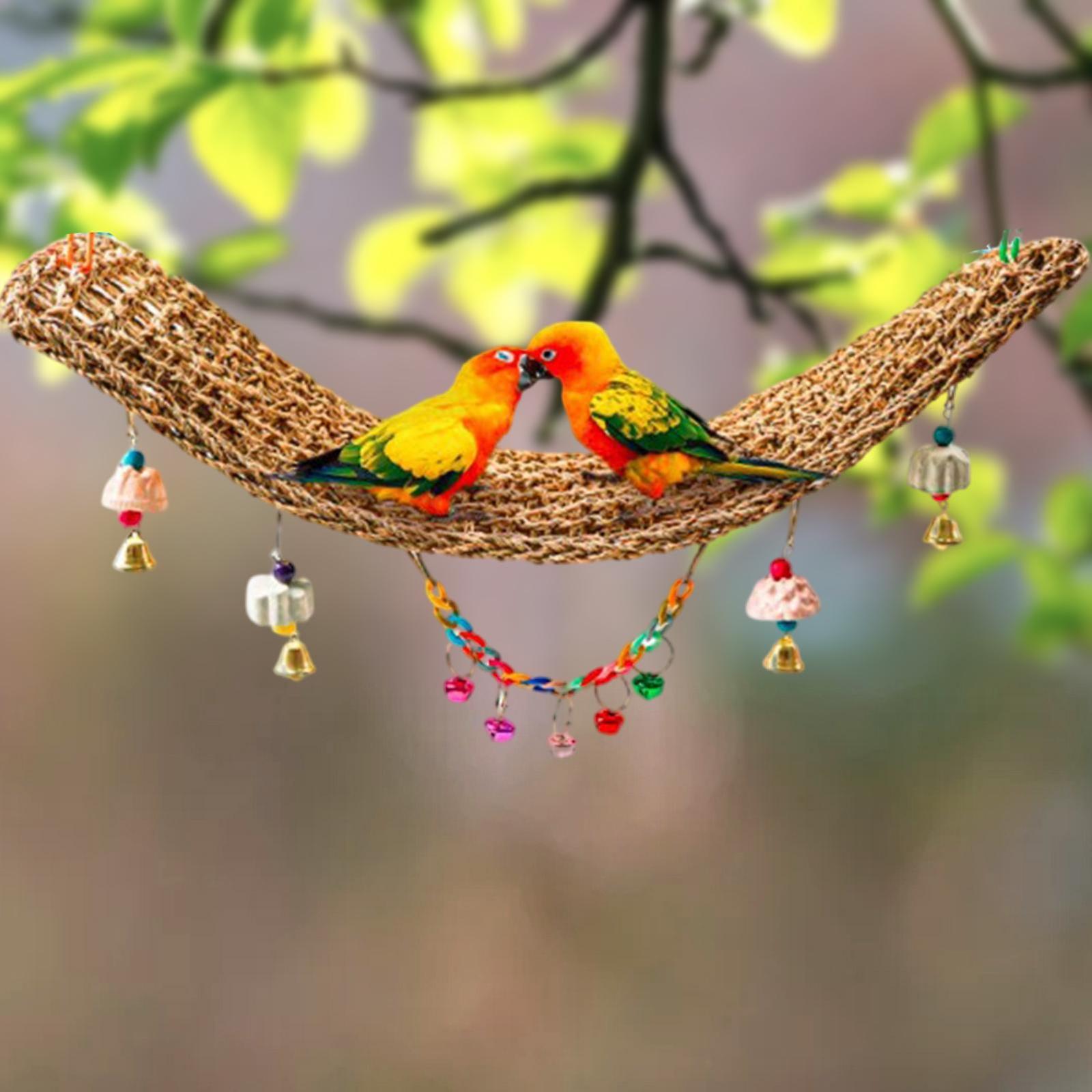 Pappagalli Stand Rete da arrampicata Accessorio appeso Amaca con campane