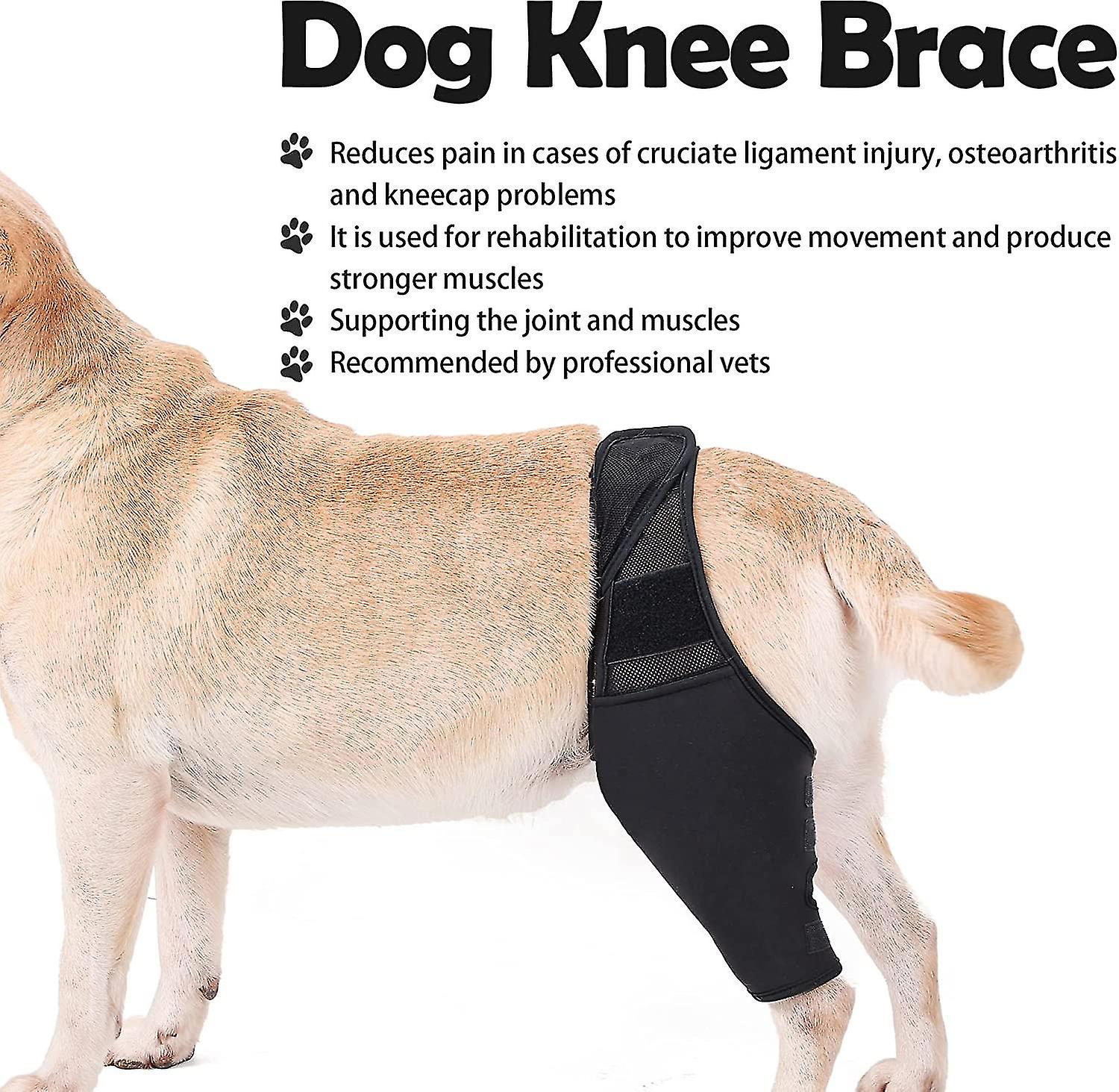 Dog Leg Fracture Fixed Protective Gear Pet Knee Pad Injury Protective Sleeve