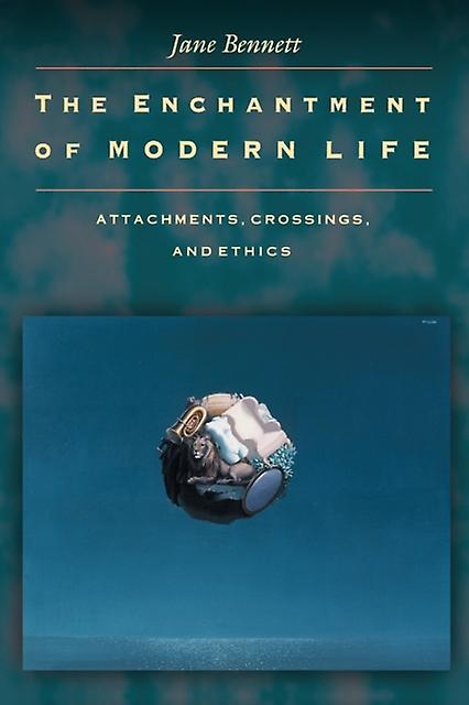 The Enchantment Of Modern Life by Jane Bennett Paperback Book