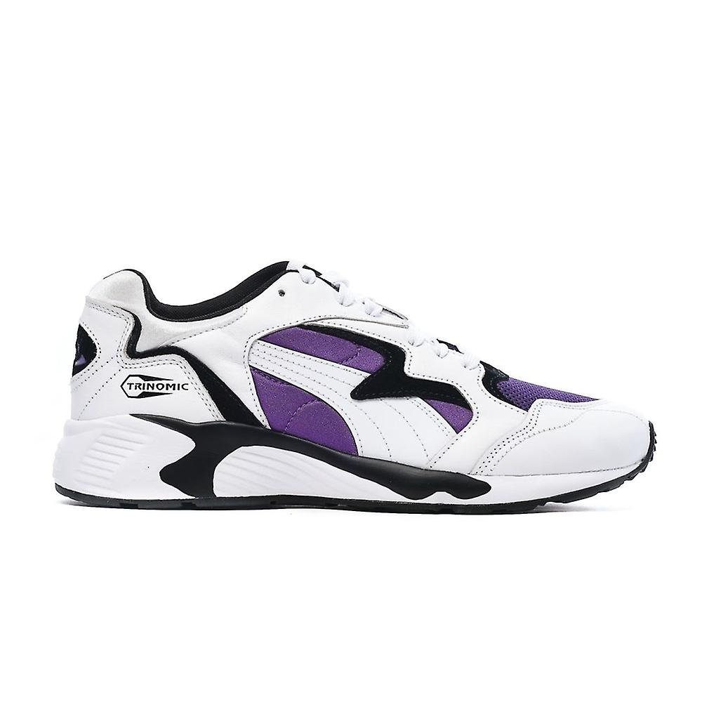 Puma Prevail Royal 38656902 universal all year men