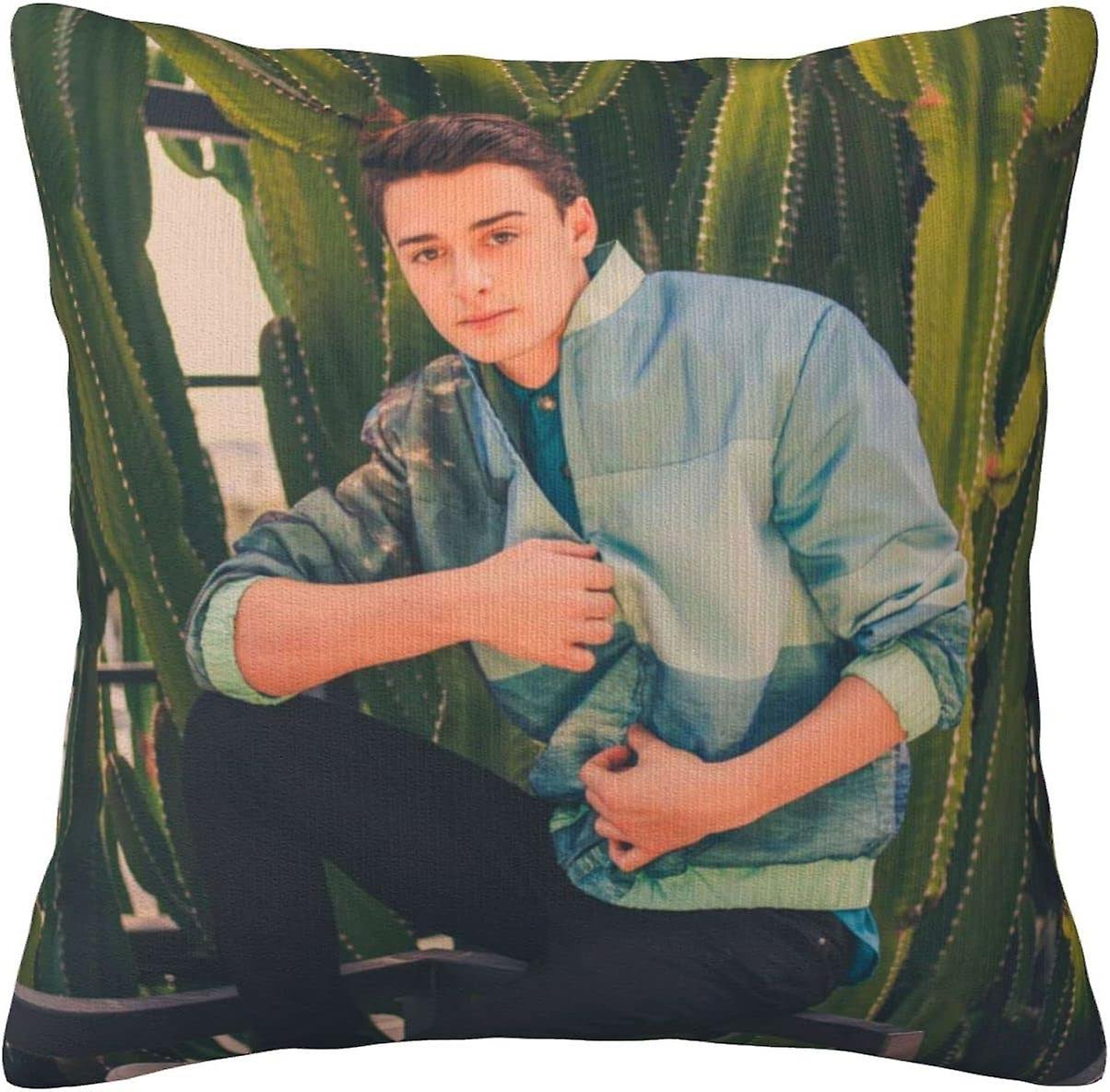 Noah Schnapp Solid Decorative Square Throw Pillow,Covers Set Cushion Case Custom Pillowcase,Decorative Pillow Covers for Sofa,Bedroom,Car,18 X 18 Inch
