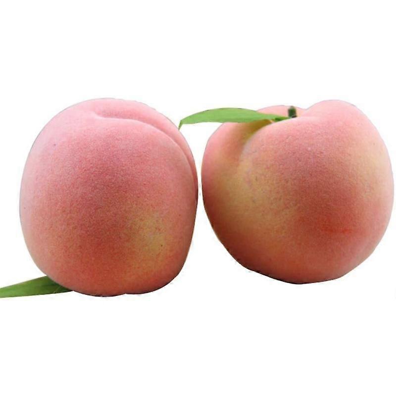 Barsinfi 5Pcs Artificial peach simulation fake fruit peaches photo props main decoration