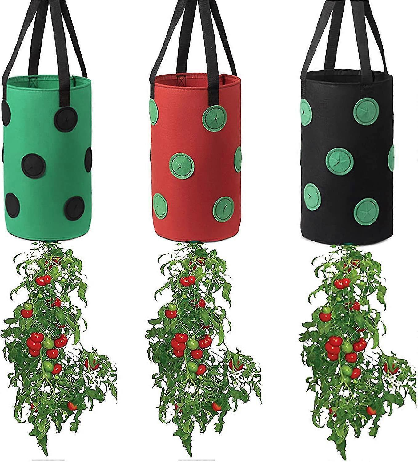 Garden Hanging Tomato Strawberry Planting