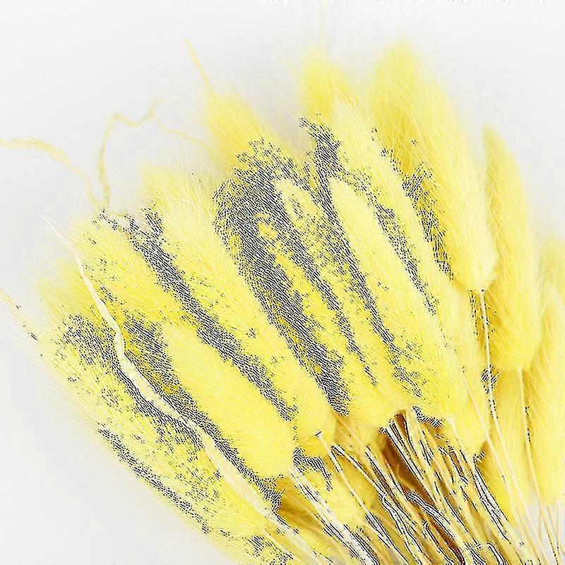 tørket pampas gress blomster dekorasjon