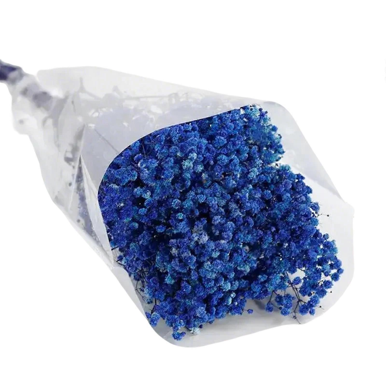 Fleurs de gypsophile séchées, hauteur 50 cm, résistantes à la décoloration, idéales pour la décoration intérieure (maison, mariage, fêtes) et les centres de table (mariage, fêtes), bleu royal