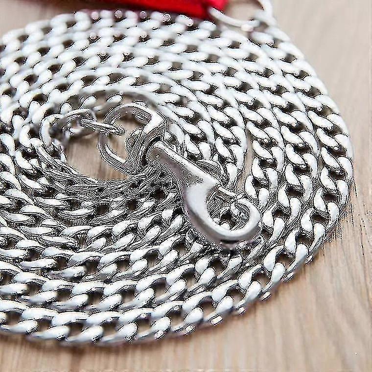 Anti-Bite Dog Leash with Traction Iron Chain Plus Foam Anti-Slicing for Small Medium and Large Dogs - Metal Chain