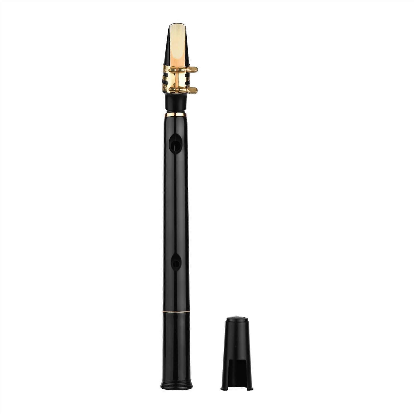 C Key Mini Pocket Saxophone with ABS Material, Includes 10 Reeds and Mouthpieces, Woodwind Instrument Carrying Bag, Model 5203