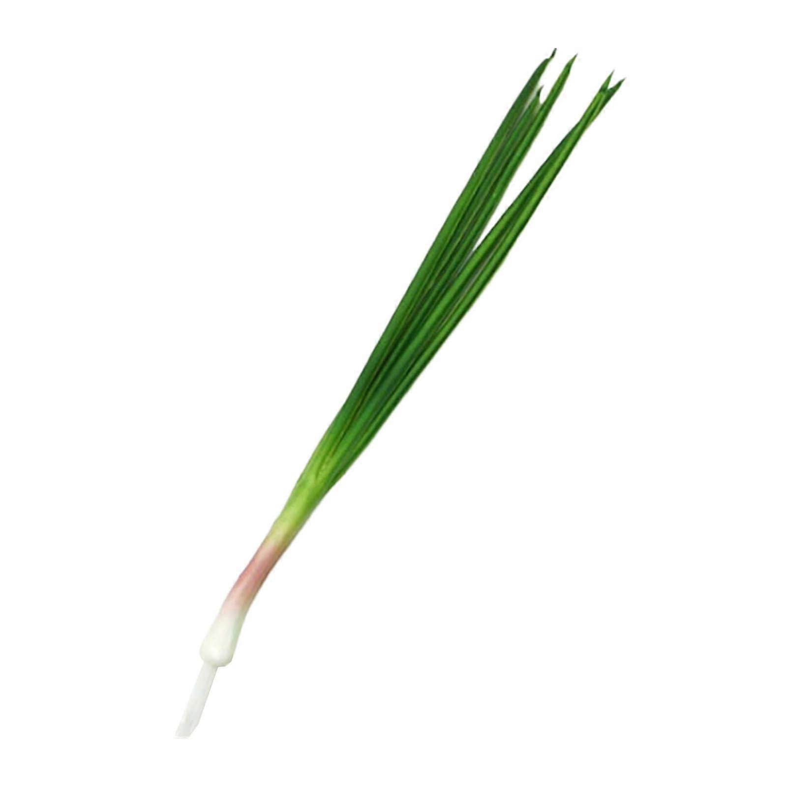 Simulated Scallion Model Green Plant - Realistic Garlic Seedling for Early Education, Small Size, Indoor Decoration