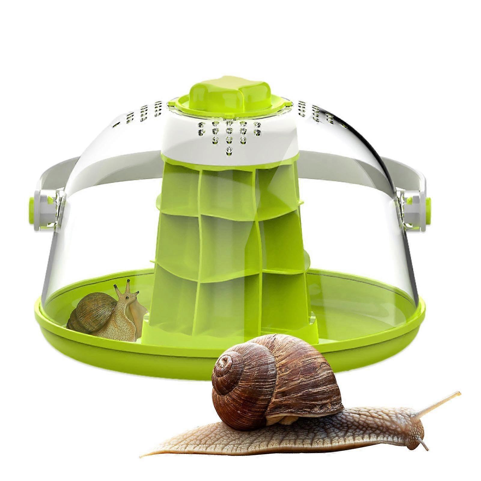 Snail Spacecraft Terrarium Reptile Habitat Silkworm Container for Reptiles