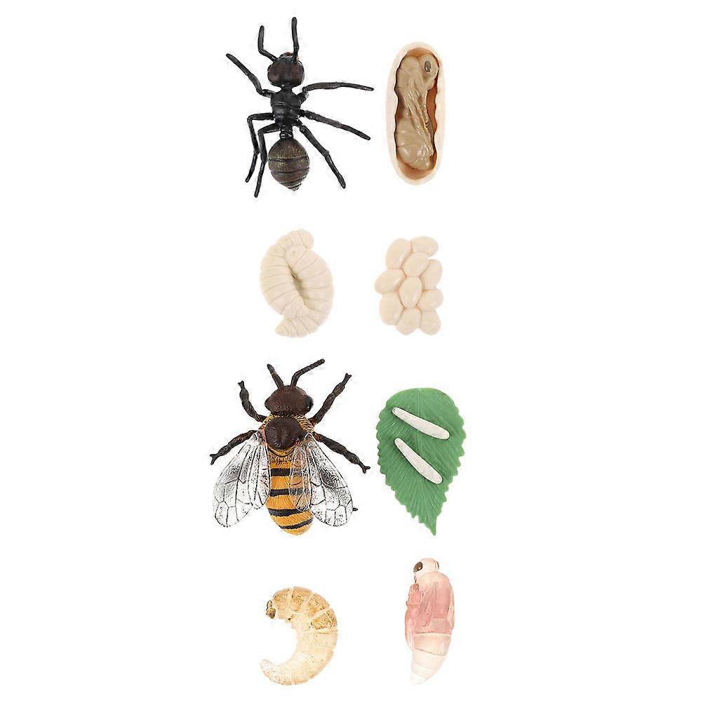 Cognitive Development Bee And Cycle Models Teaching Props Assorted Color For 2 Sets