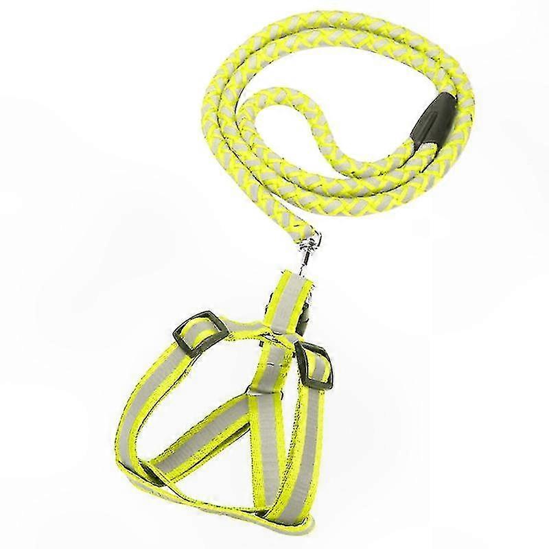 Single Pet Harness and Leash Set