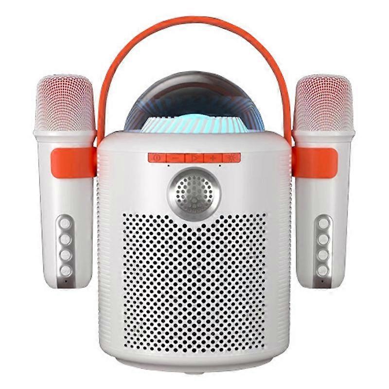 Wireless Karaoke Dual Microphone Bluetooth Speaker