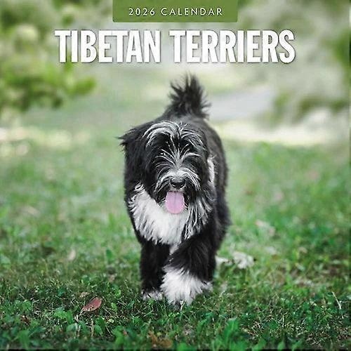 Red Robin Tibetan Terrier Calendar 2026