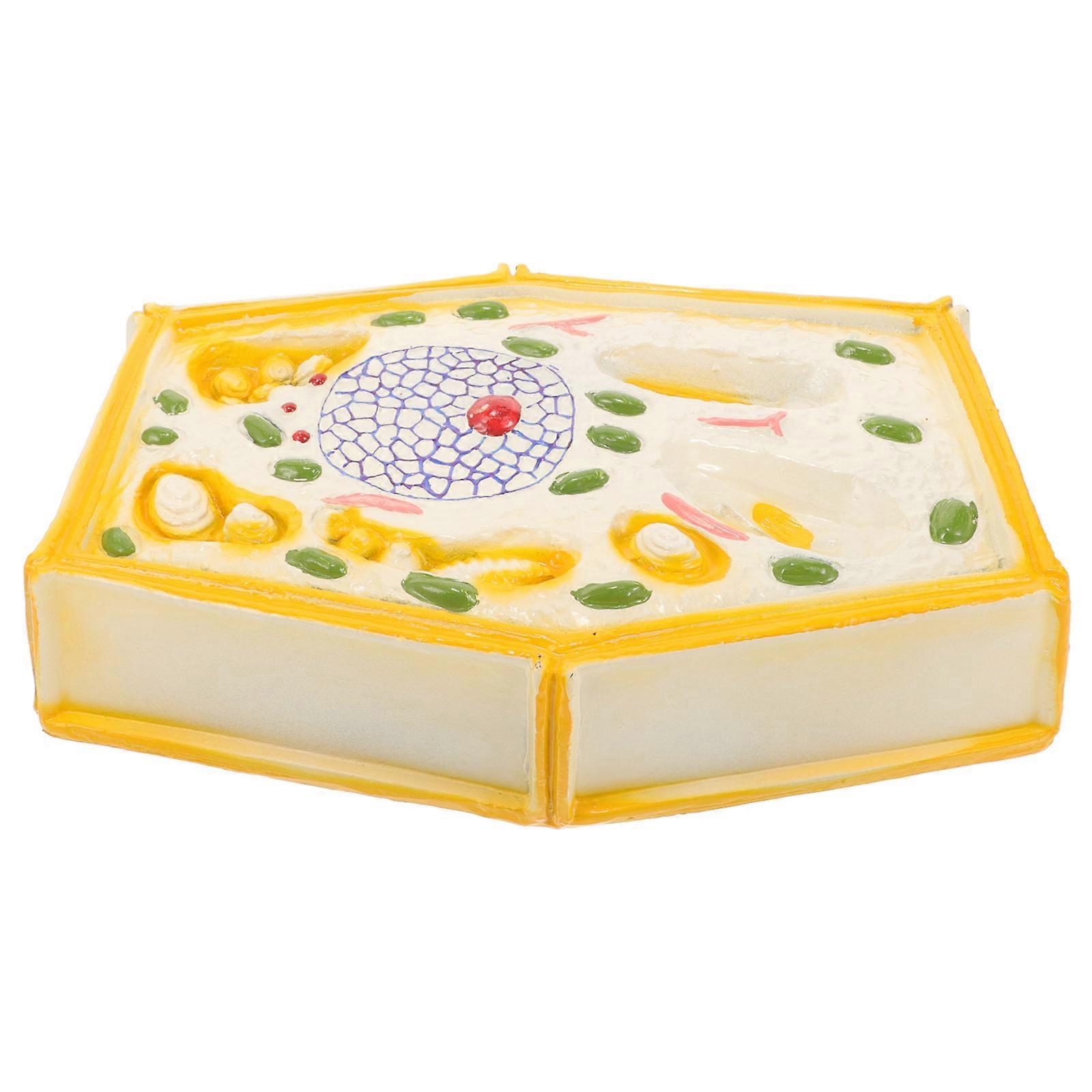 Educational Plant Cell Model for Teaching Purposes