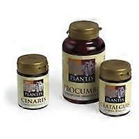 Cinaris (Artichoke) 120 capsules