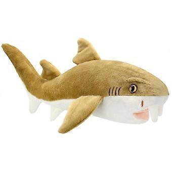 Teddy Shark Sandpaper All About Nature
