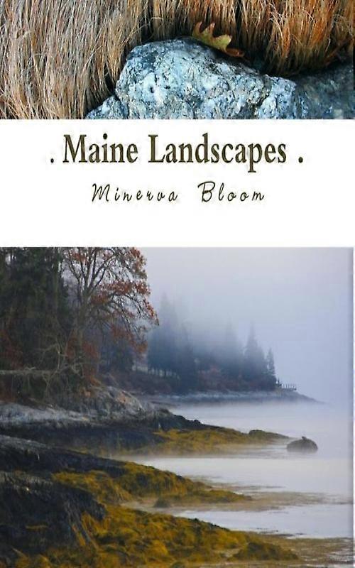 Maine Landscapes