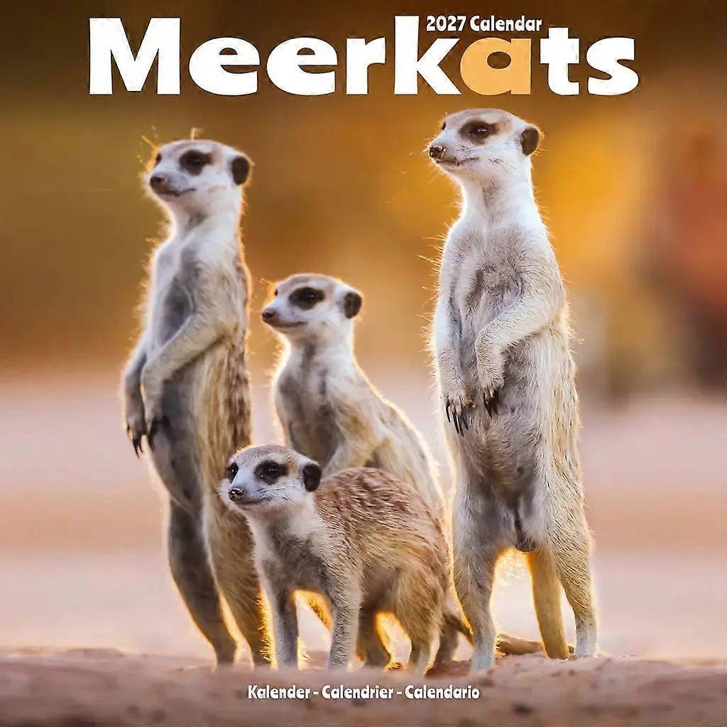 Avonside Meerkats Calendar 2026