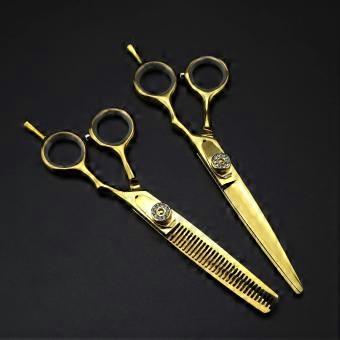 Professional Hair Cutting Scissors 6 Inch, High Carbon Stainless Steel Barber Shears