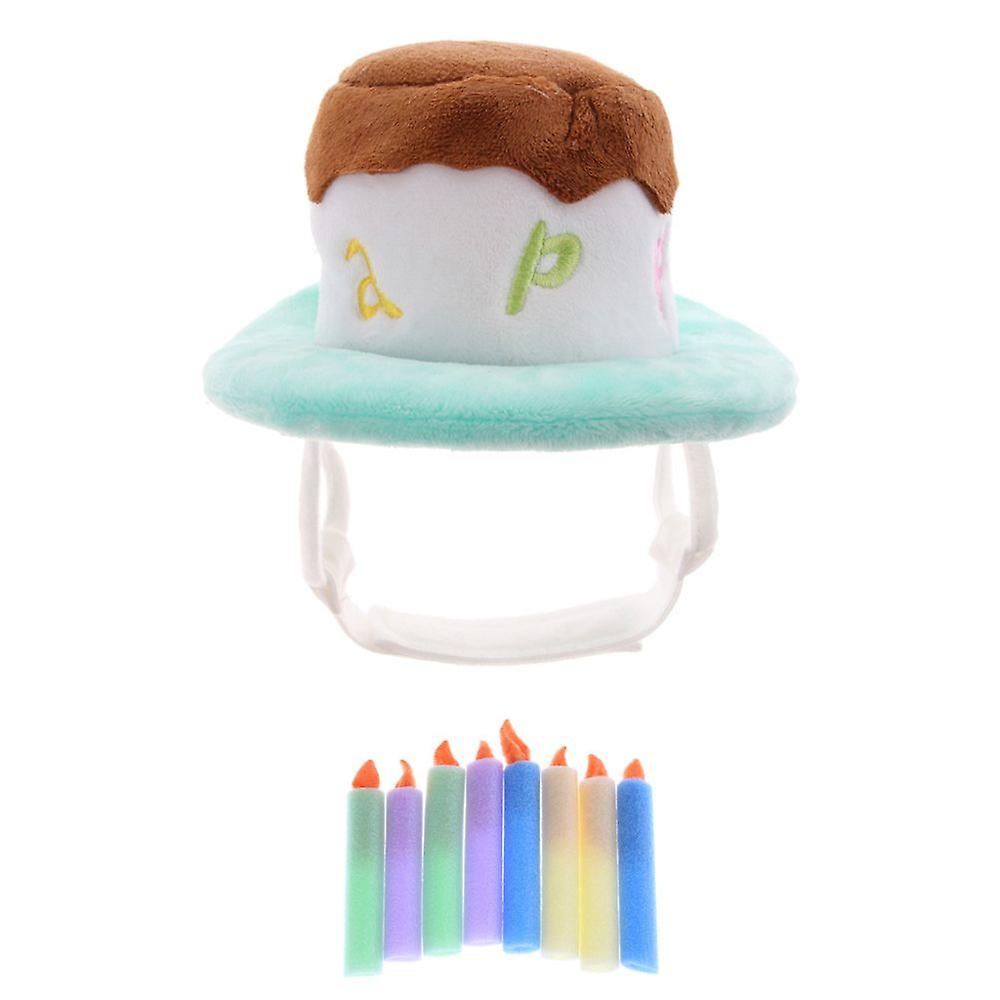 Evcil Hayvan Bakımı