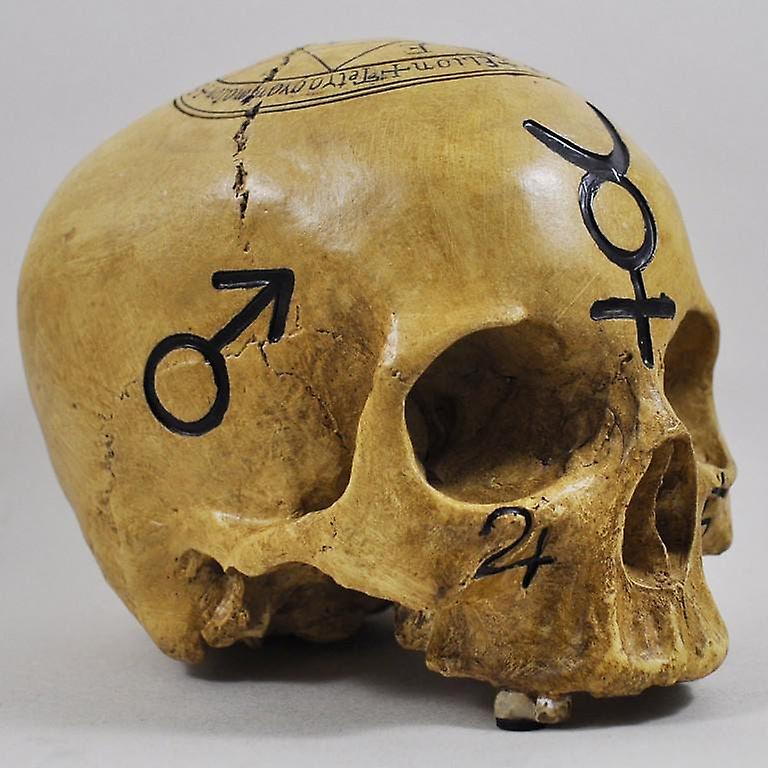Witchcraft Skull Home Decor Decals
