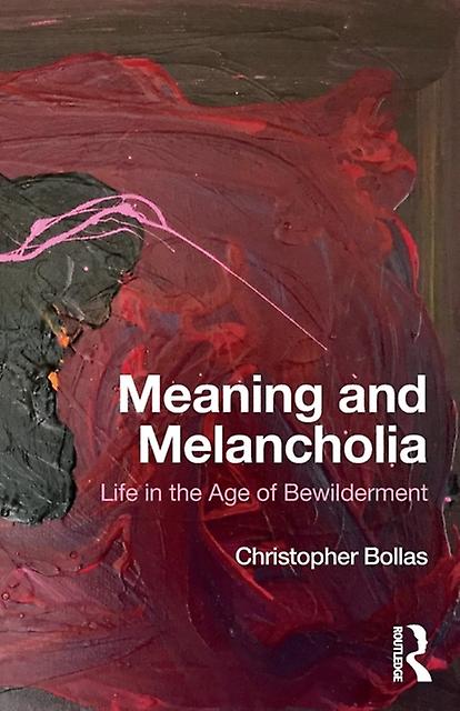 Meaning And Melancholia by Christopher Bollas Paperback Book
