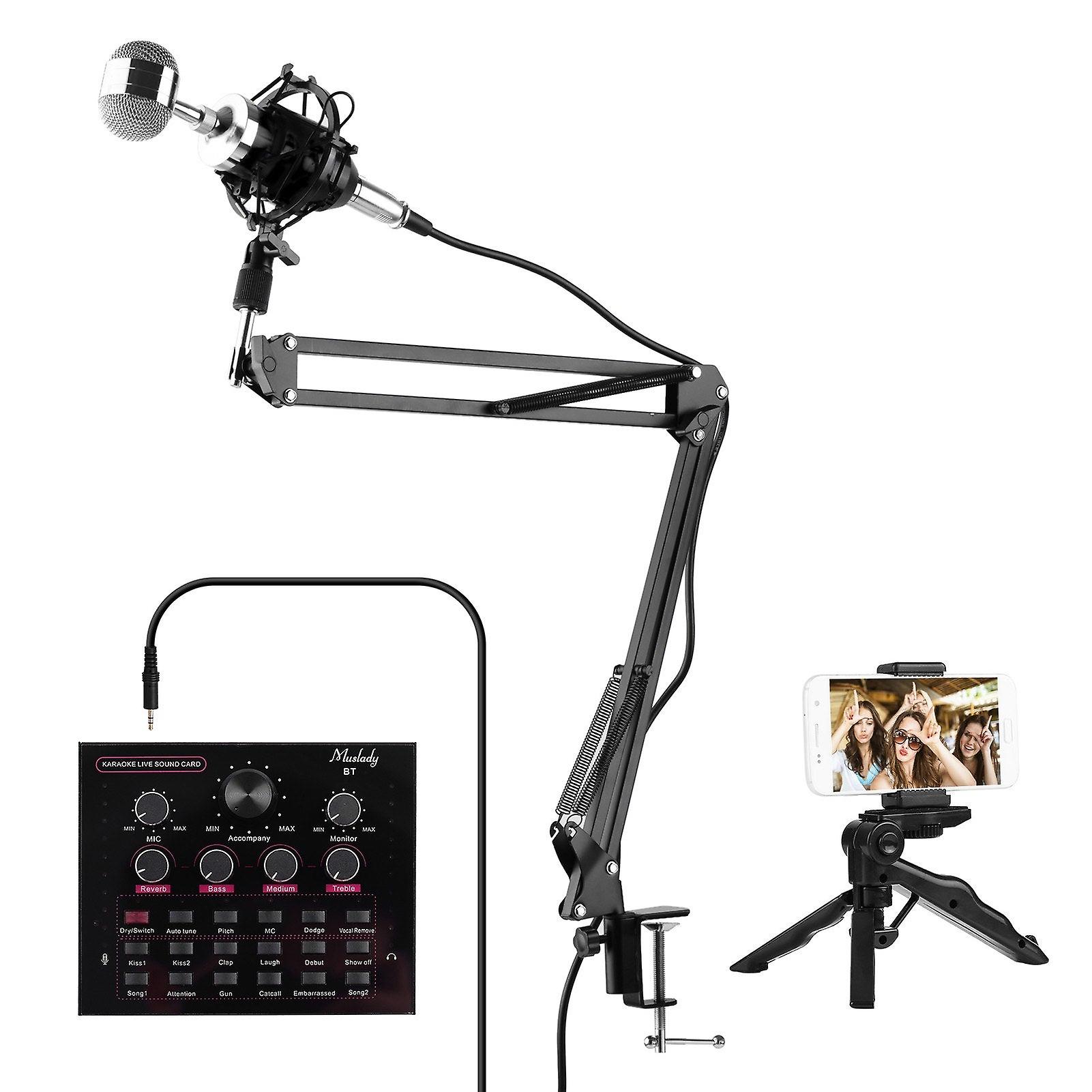Live Sound Card + Professional Condenser Microphone Kit